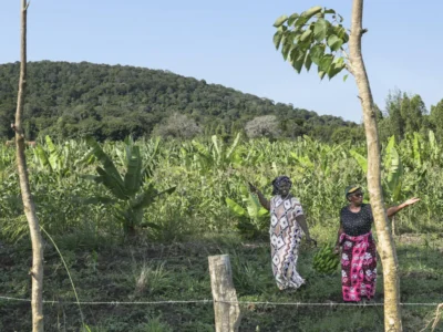 Two women walking through farmland below a forested hill