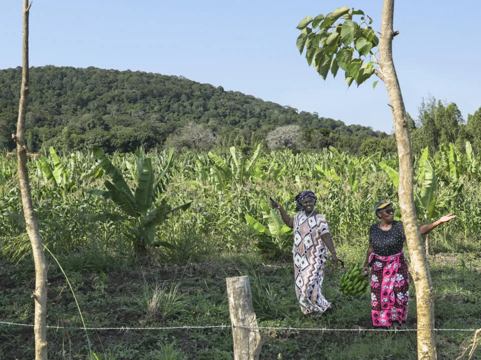 Two women walking through farmland below a forested hill